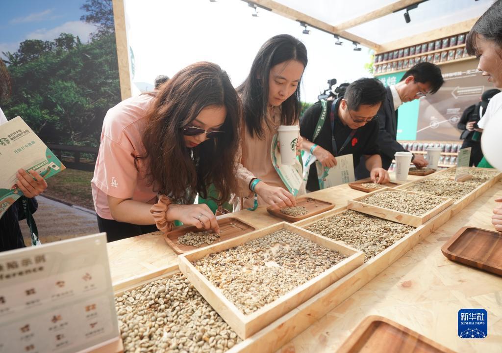 金佰利菲律宾真人在线